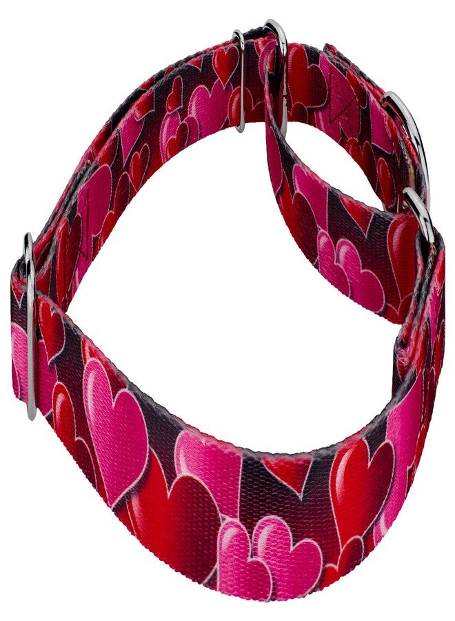 كانتري بروك ديزاين طوق ومقود للكلاب من Country Brook Petz - Romantic Hearts Martingale - مجموعة Affection التي تضم تصاميم ستعشقها (1 بوصة، متوسط) - Image 4